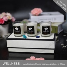 New Design Set of Mini Glass Jar Scented Soy Candle as Gift